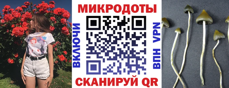 hydra ONION  Миньяр  Псилоцибиновые грибы Magic Shrooms  купить наркоту 